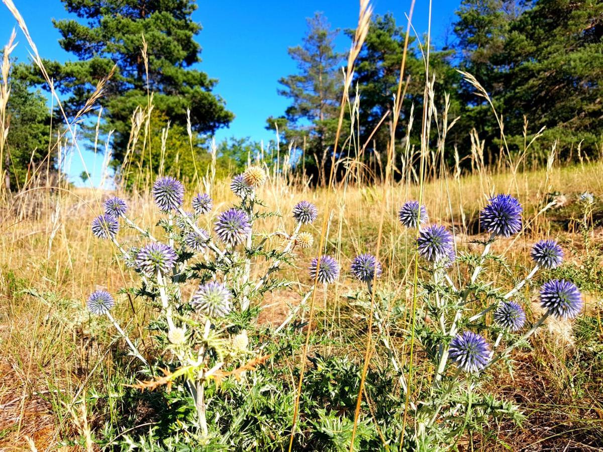 Les Gargouilles Gorges Du Tarn - Millau Bed and Breakfast Boyne Esterno foto