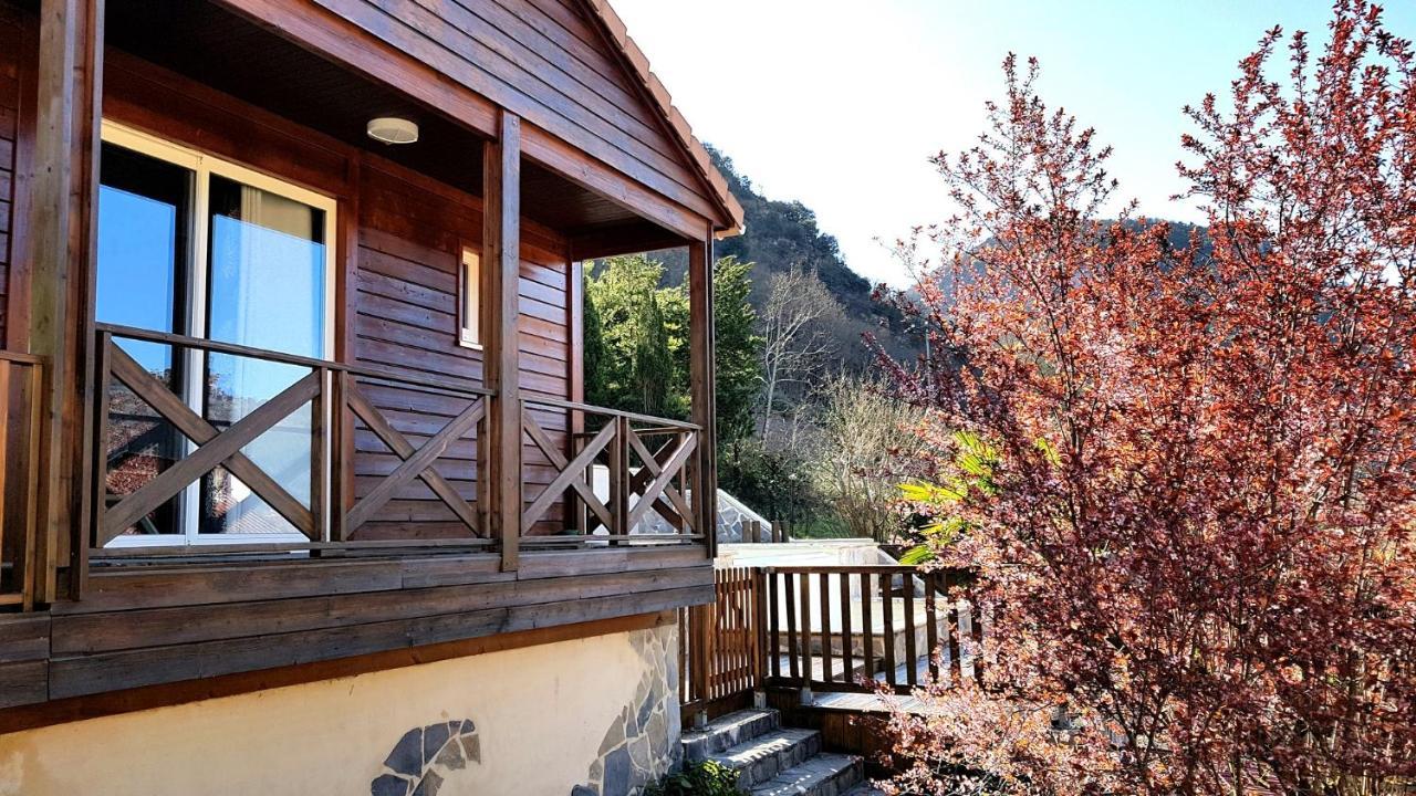 Les Gargouilles Gorges Du Tarn - Millau Bed and Breakfast Boyne Esterno foto