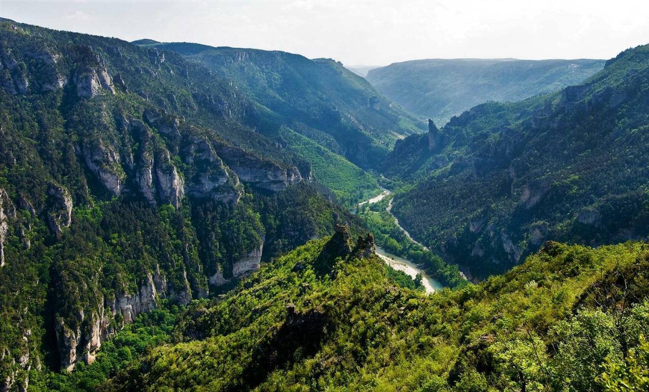 Les Gargouilles Gorges Du Tarn - Millau Bed and Breakfast Boyne Esterno foto