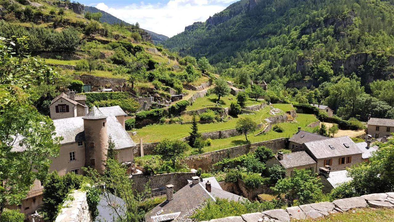 Les Gargouilles Gorges Du Tarn - Millau Bed and Breakfast Boyne Esterno foto